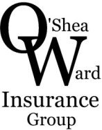 OWIG Logo